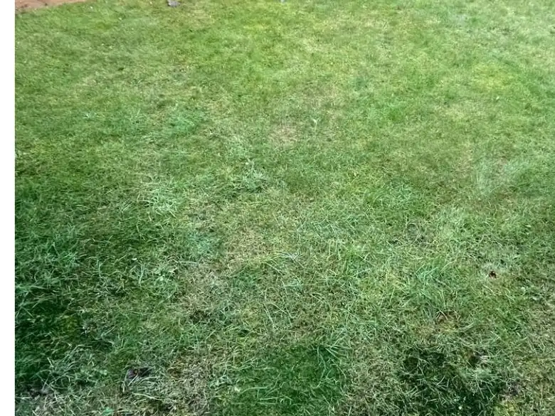 Before: Back lawn to grey porcelain - S P Groundworks & Driveways