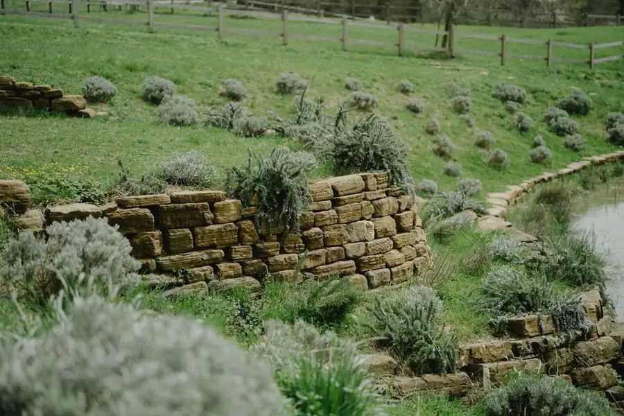 Dry-laid stone retaining wall holding back a grass bank, the type of wall that will not hold a driveway